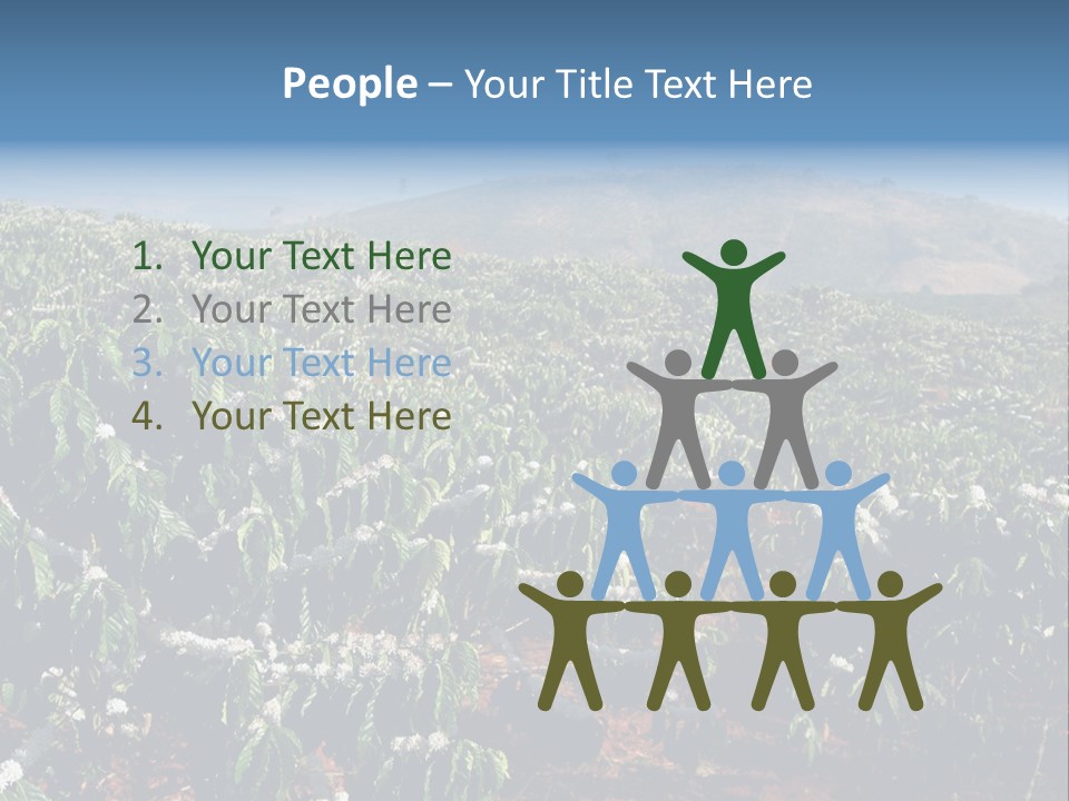 Coffee Plantation PowerPoint Template