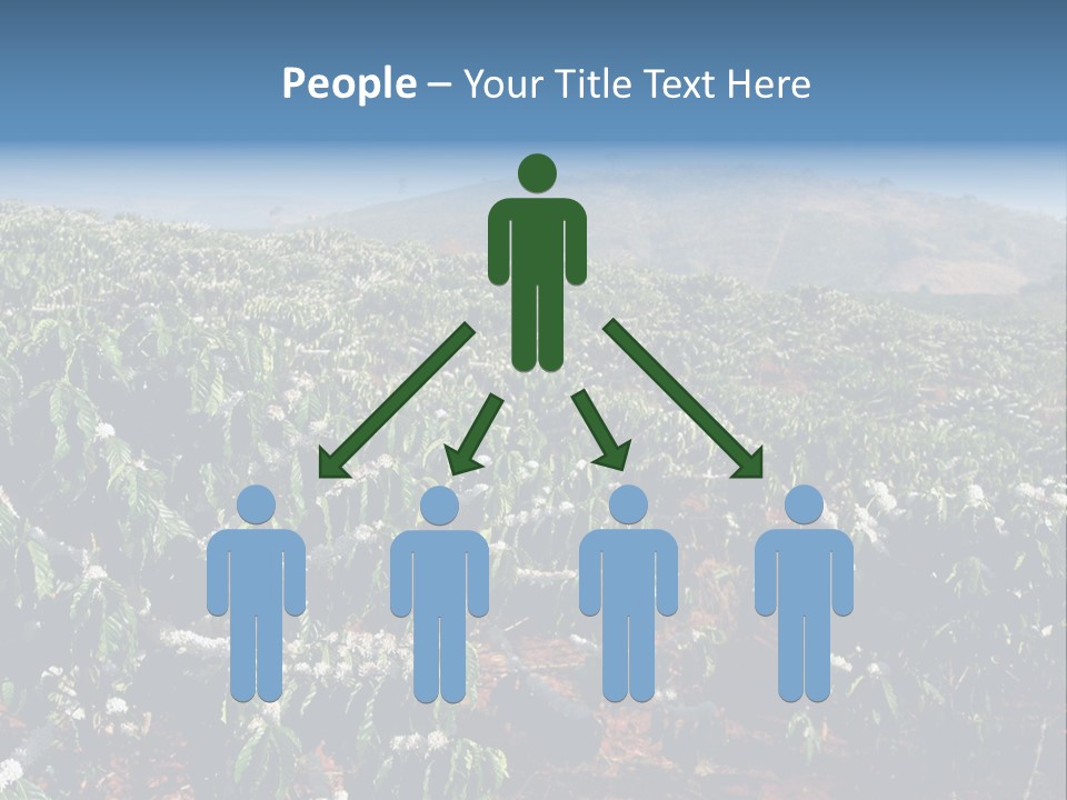 Coffee Plantation PowerPoint Template