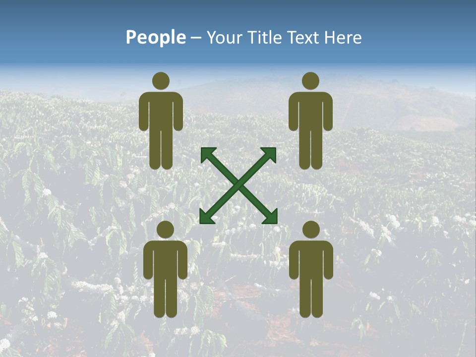 Coffee Plantation PowerPoint Template