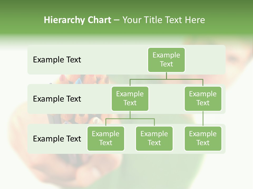 Guy Suggests And Holds Set Of Color Pencils In Hand On White Background; Close Up PowerPoint Template