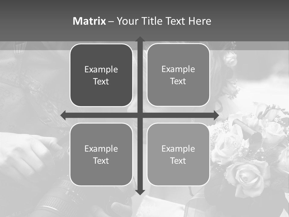 The Beautiful Bride And The Photographer. B/W PowerPoint Template