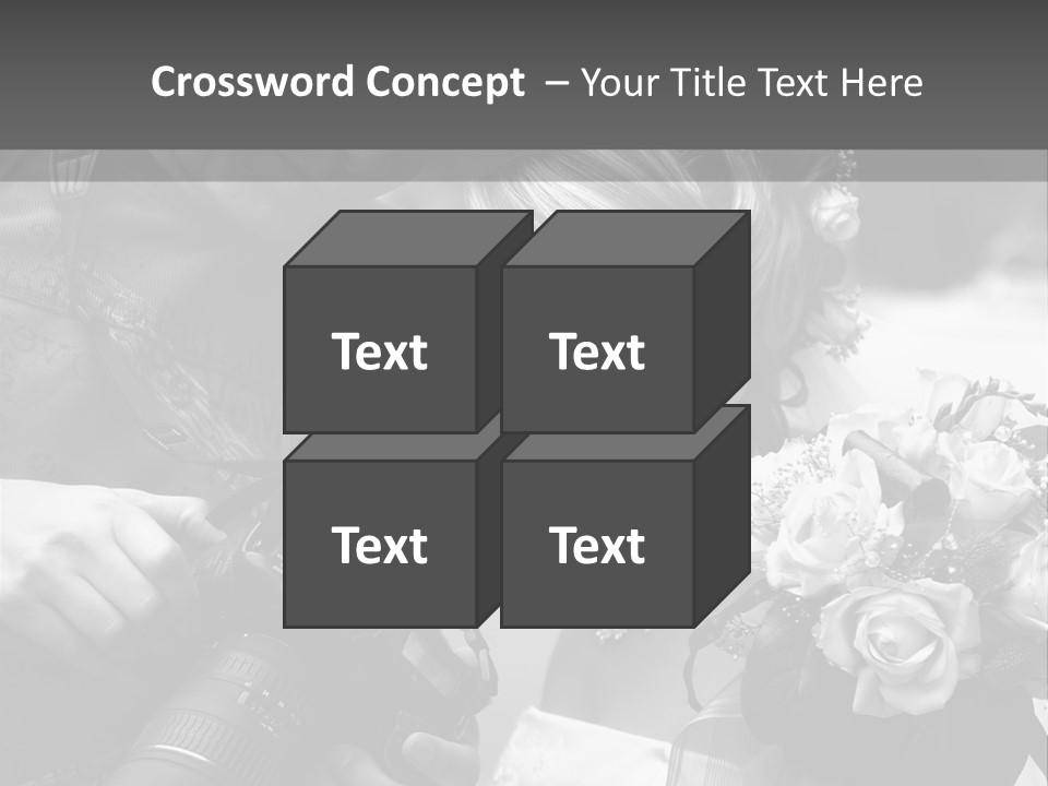 The Beautiful Bride And The Photographer. B/W PowerPoint Template