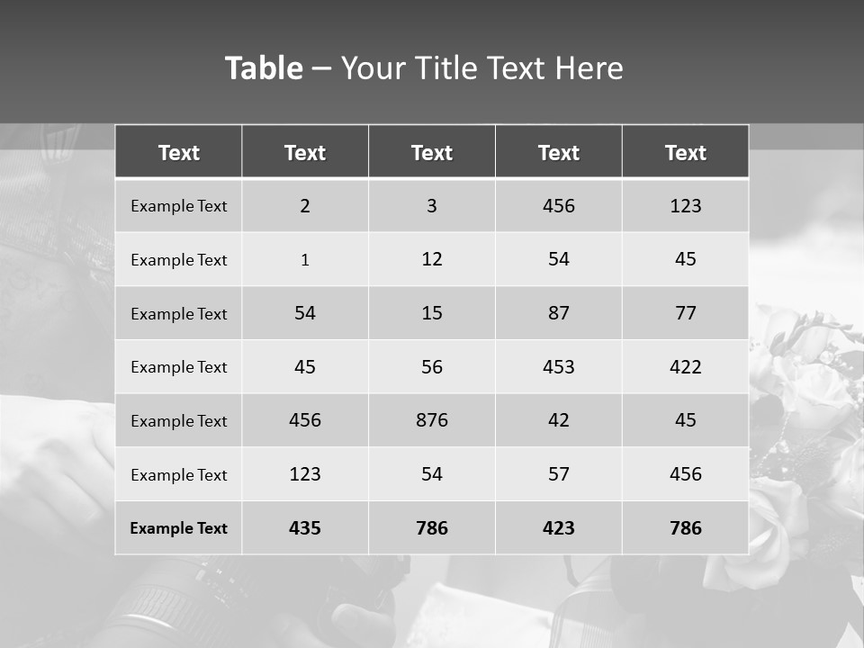 The Beautiful Bride And The Photographer. B/W PowerPoint Template