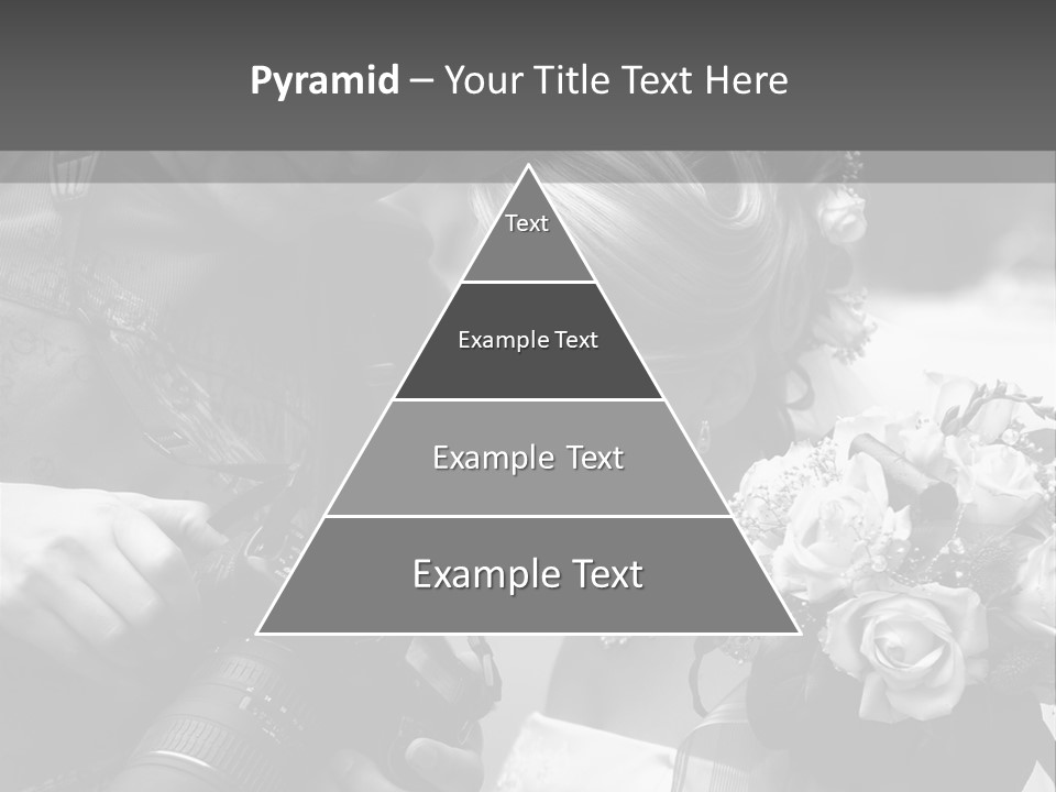 The Beautiful Bride And The Photographer. B/W PowerPoint Template