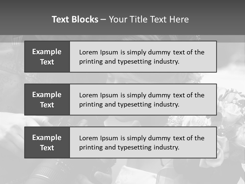 The Beautiful Bride And The Photographer. B/W PowerPoint Template