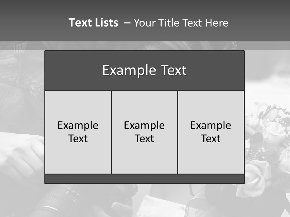 The Beautiful Bride And The Photographer. B/W PowerPoint Template