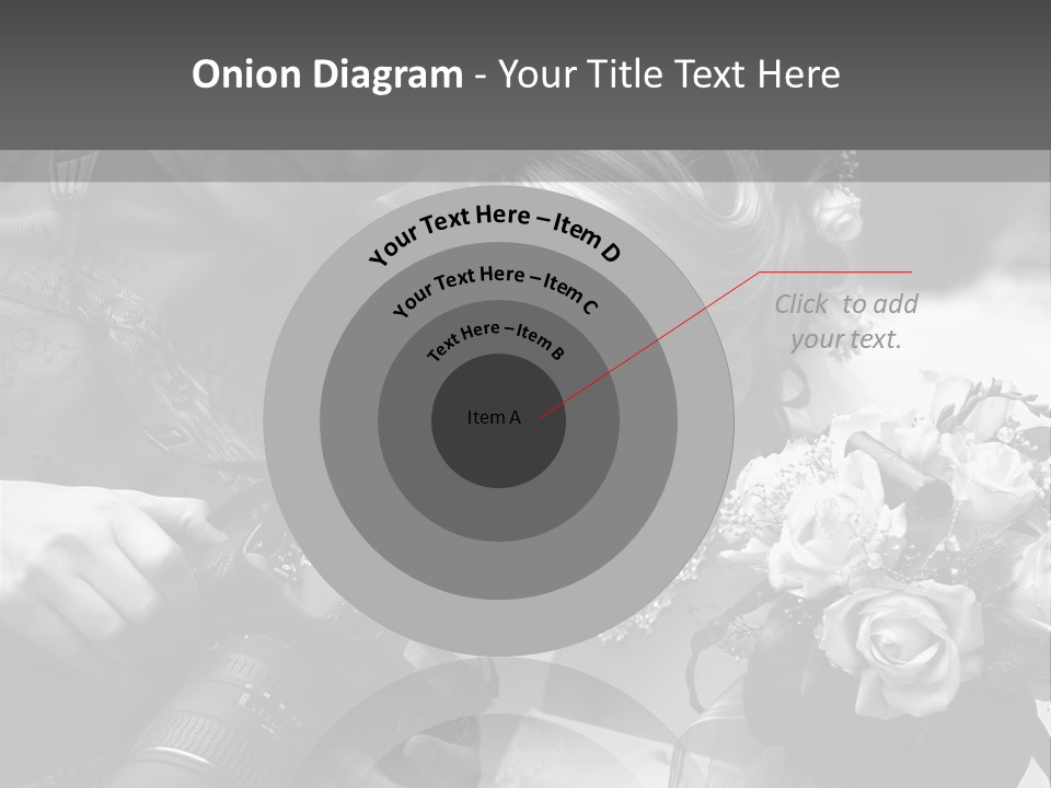 The Beautiful Bride And The Photographer. B/W PowerPoint Template