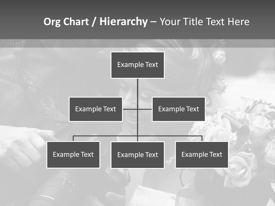 The Beautiful Bride And The Photographer. B/W PowerPoint Template