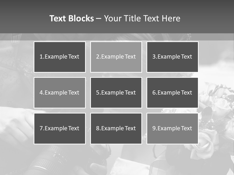 The Beautiful Bride And The Photographer. B/W PowerPoint Template