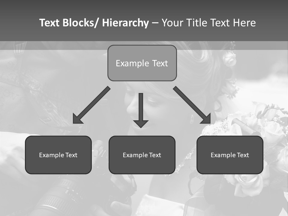 The Beautiful Bride And The Photographer. B/W PowerPoint Template