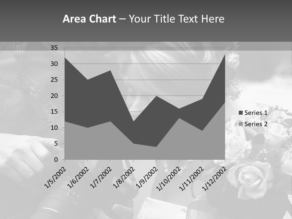 The Beautiful Bride And The Photographer. B/W PowerPoint Template