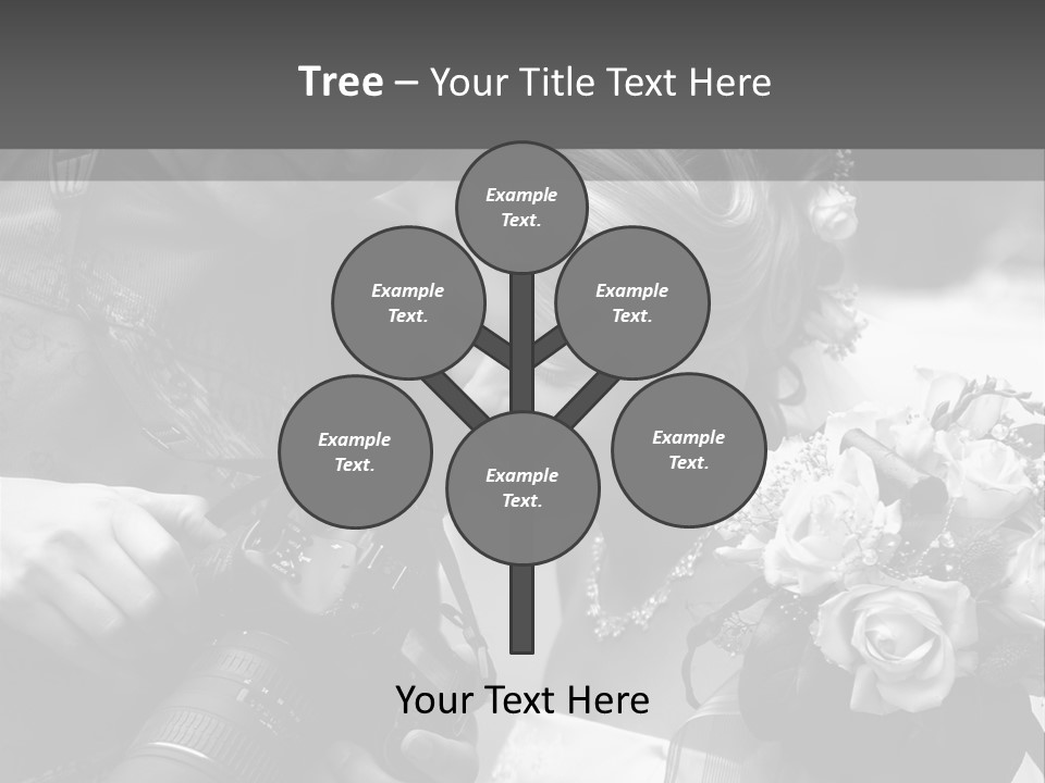 The Beautiful Bride And The Photographer. B/W PowerPoint Template