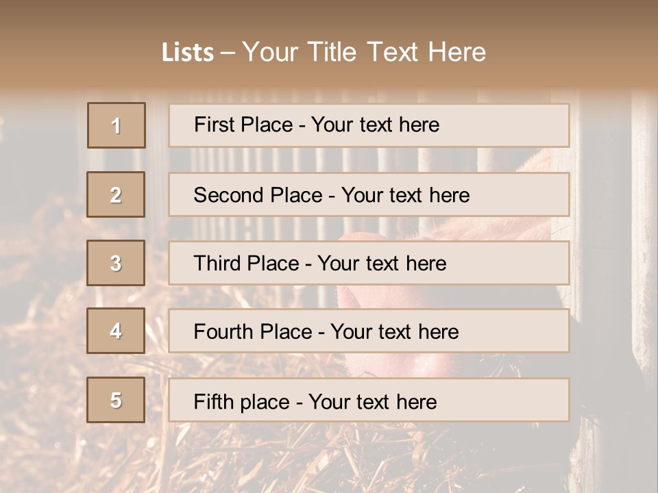 A Pig Sticking Its Head Through A Fence PowerPoint Template