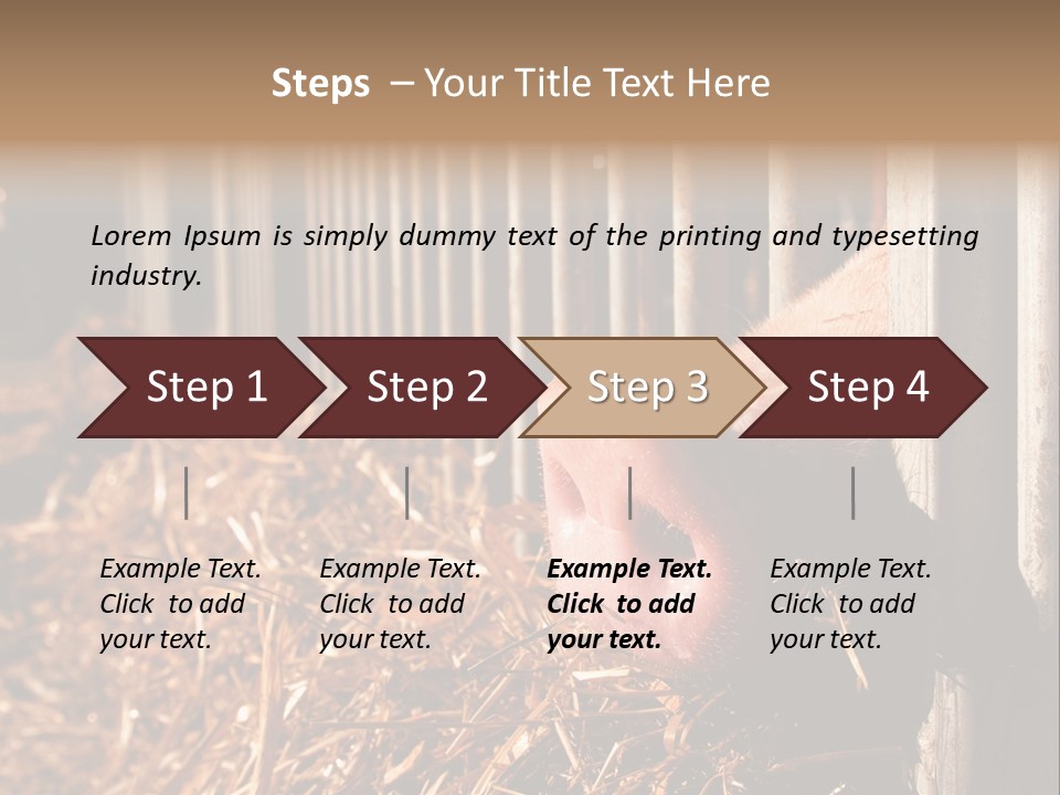 A Pig Sticking Its Head Through A Fence PowerPoint Template