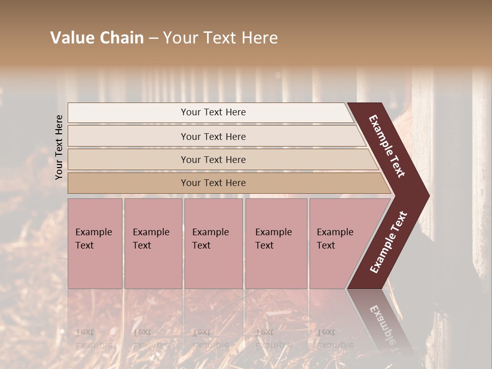 A Pig Sticking Its Head Through A Fence PowerPoint Template
