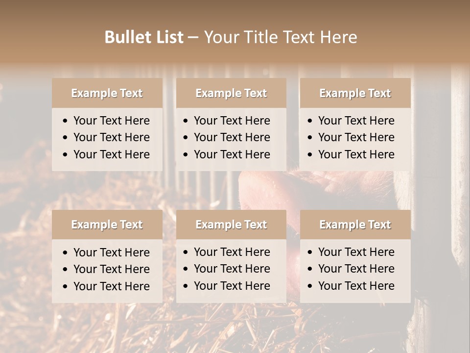 A Pig Sticking Its Head Through A Fence PowerPoint Template