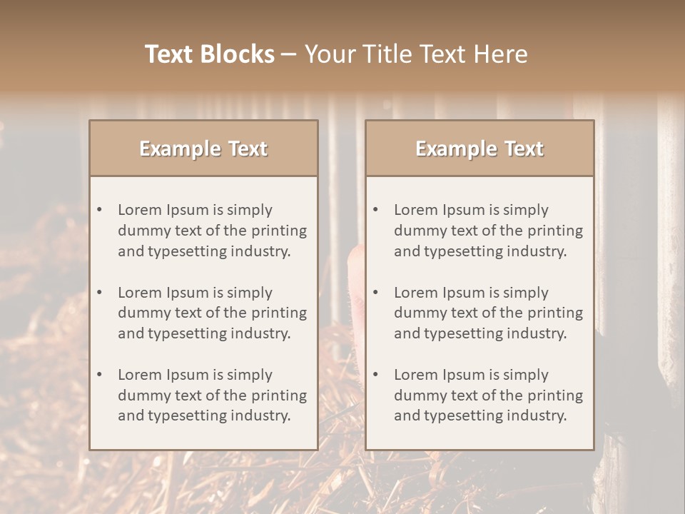 A Pig Sticking Its Head Through A Fence PowerPoint Template