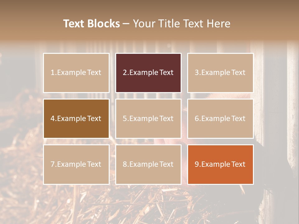 A Pig Sticking Its Head Through A Fence PowerPoint Template