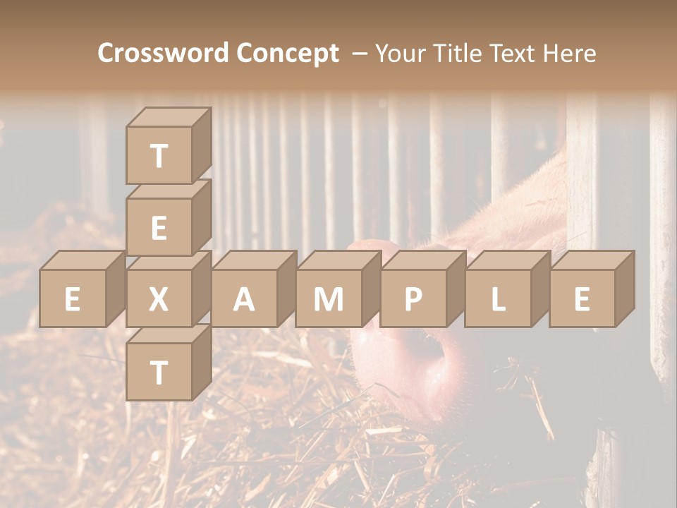 A Pig Sticking Its Head Through A Fence PowerPoint Template