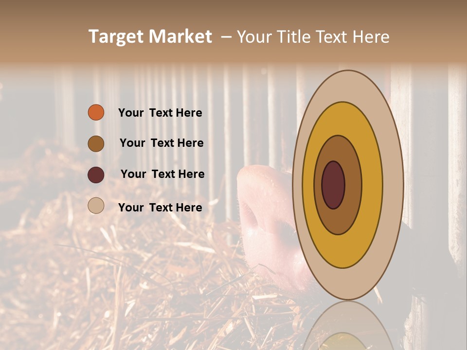 A Pig Sticking Its Head Through A Fence PowerPoint Template