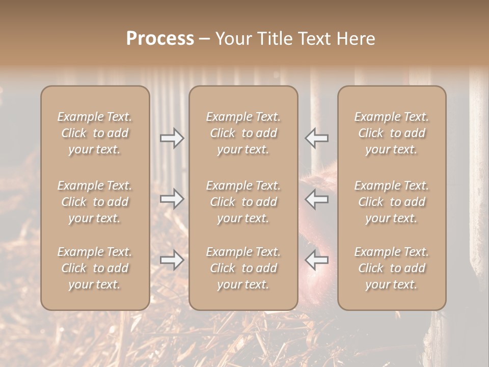 A Pig Sticking Its Head Through A Fence PowerPoint Template