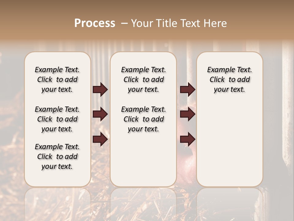 A Pig Sticking Its Head Through A Fence PowerPoint Template