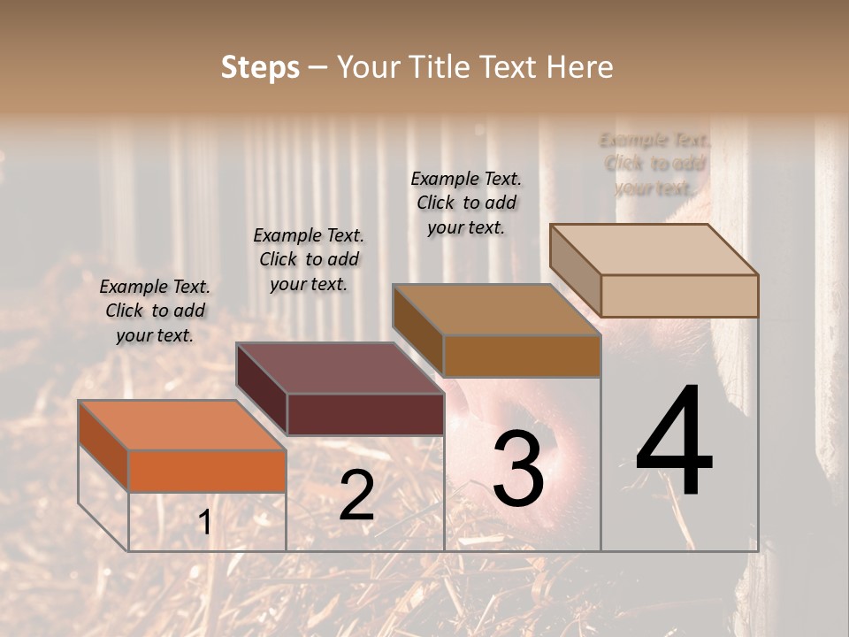 A Pig Sticking Its Head Through A Fence PowerPoint Template