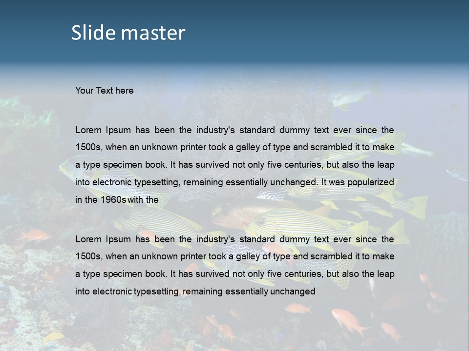 A Group Of Yellow And Black Fish On A Coral Reef PowerPoint Template