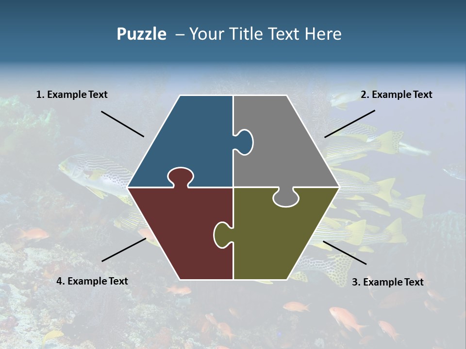 A Group Of Yellow And Black Fish On A Coral Reef PowerPoint Template