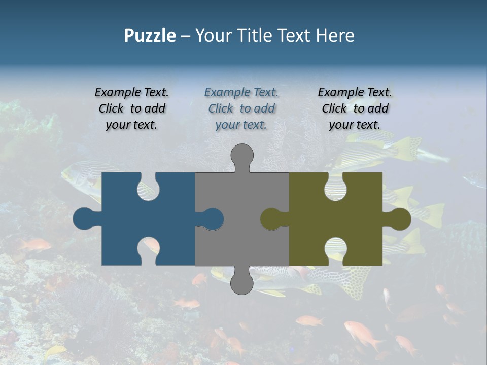 A Group Of Yellow And Black Fish On A Coral Reef PowerPoint Template