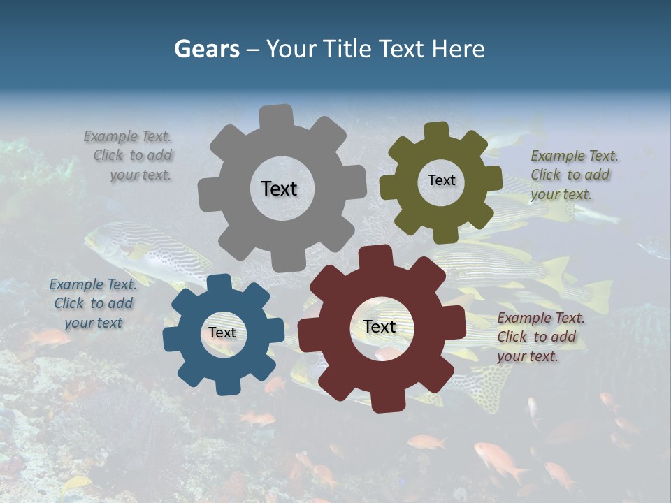 A Group Of Yellow And Black Fish On A Coral Reef PowerPoint Template