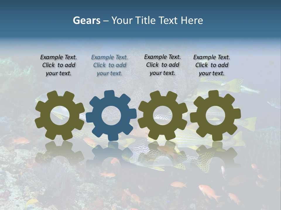 A Group Of Yellow And Black Fish On A Coral Reef PowerPoint Template