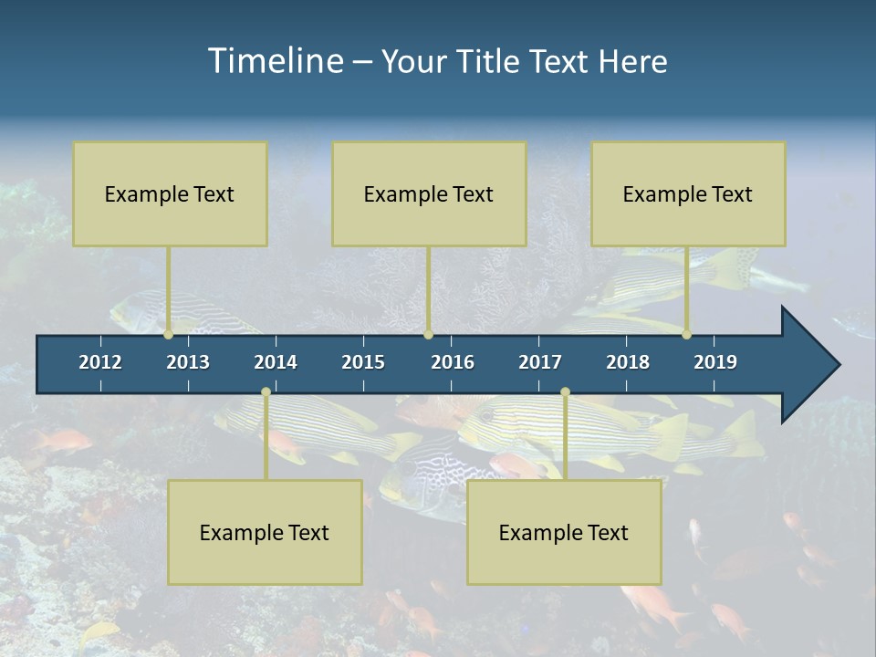 A Group Of Yellow And Black Fish On A Coral Reef PowerPoint Template