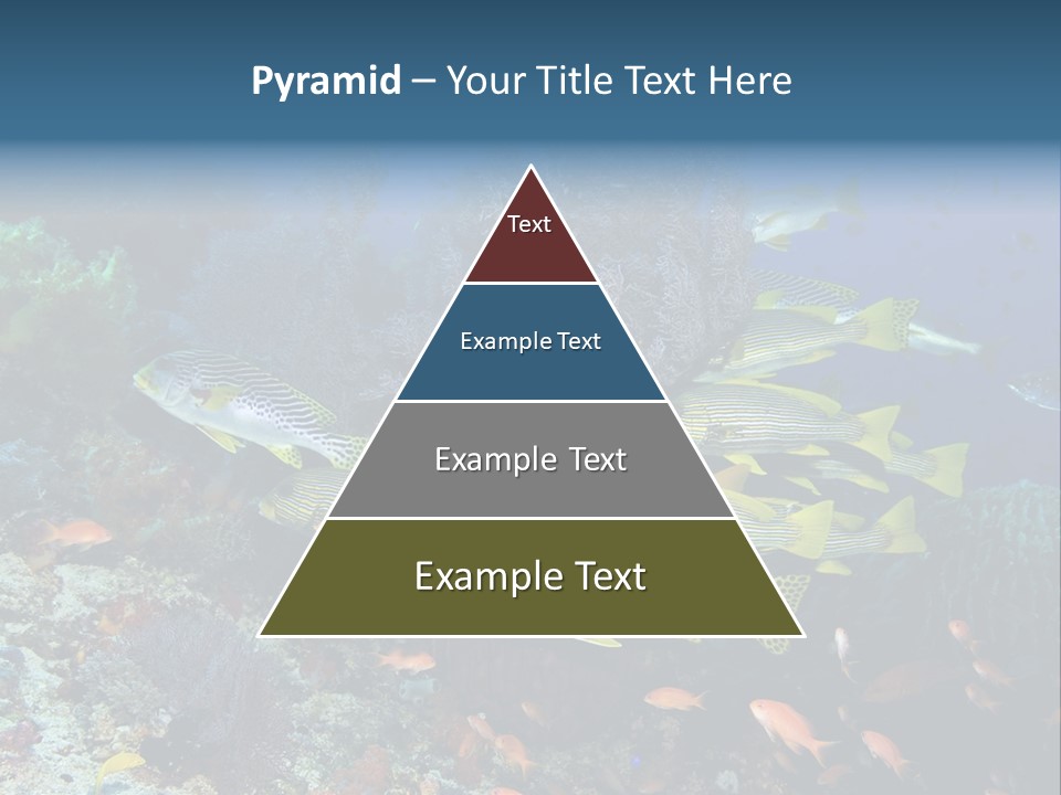 A Group Of Yellow And Black Fish On A Coral Reef PowerPoint Template