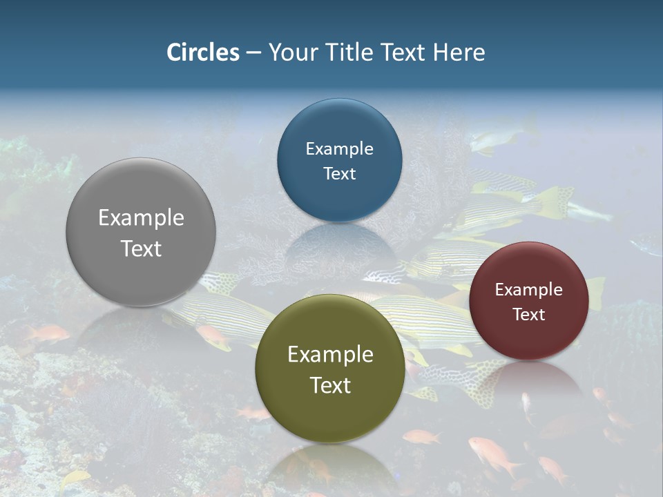 A Group Of Yellow And Black Fish On A Coral Reef PowerPoint Template