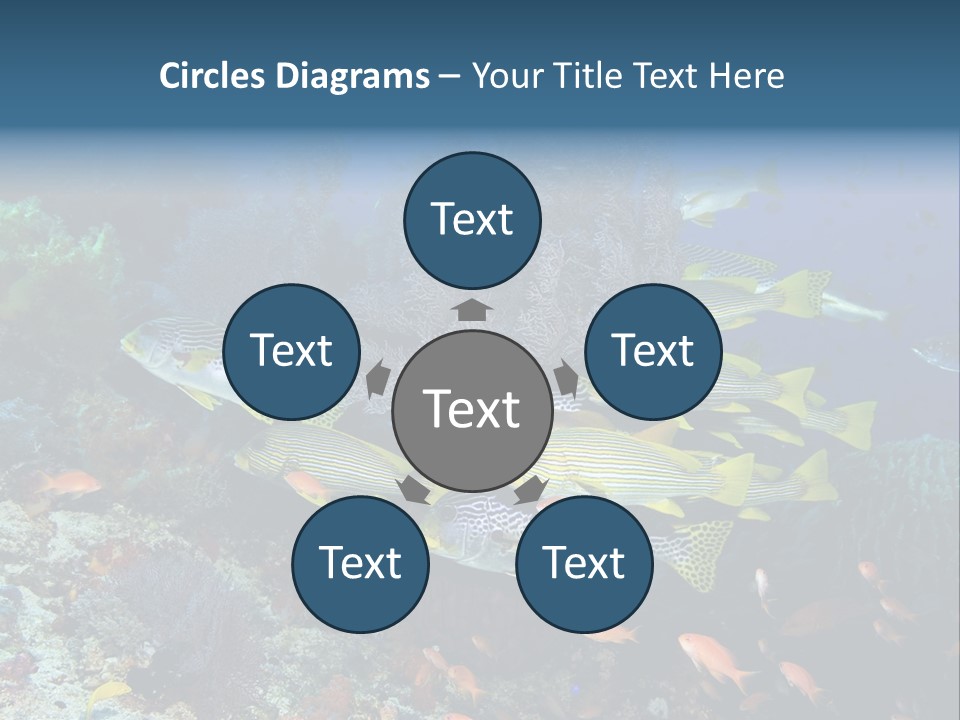 A Group Of Yellow And Black Fish On A Coral Reef PowerPoint Template