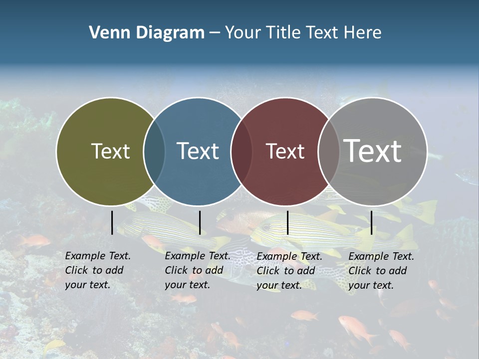 A Group Of Yellow And Black Fish On A Coral Reef PowerPoint Template