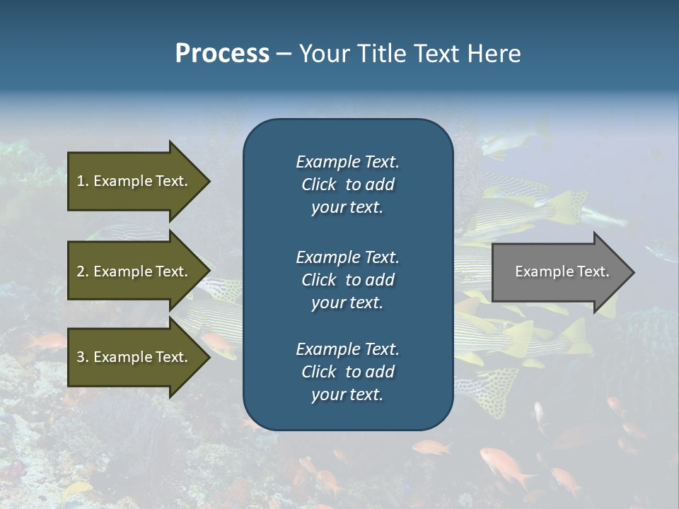 A Group Of Yellow And Black Fish On A Coral Reef PowerPoint Template