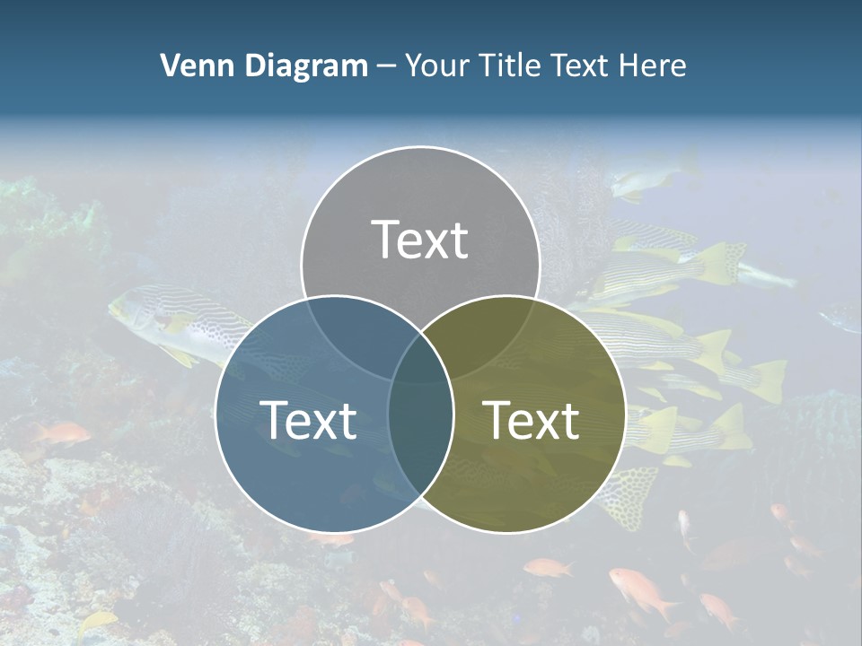 A Group Of Yellow And Black Fish On A Coral Reef PowerPoint Template