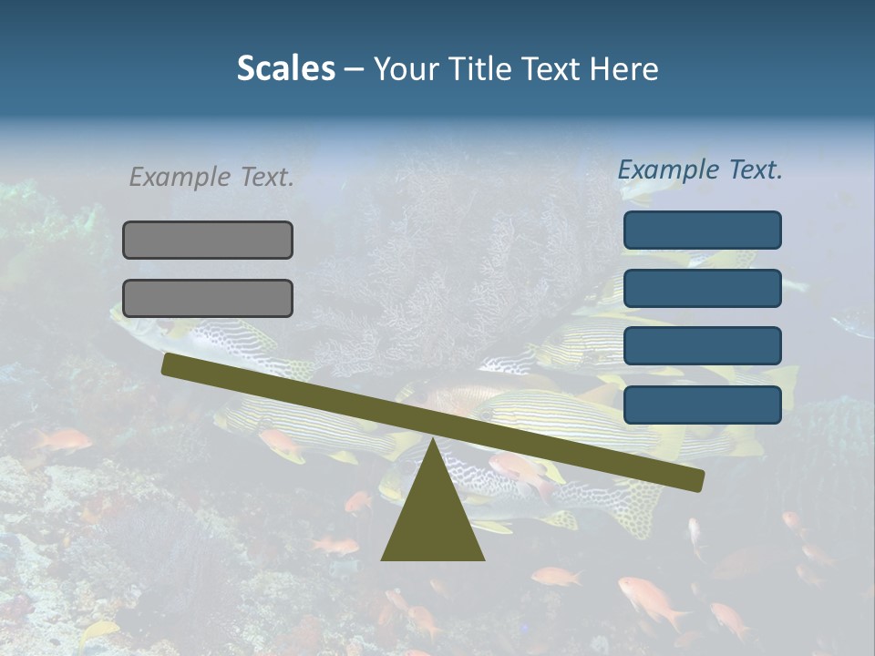 A Group Of Yellow And Black Fish On A Coral Reef PowerPoint Template