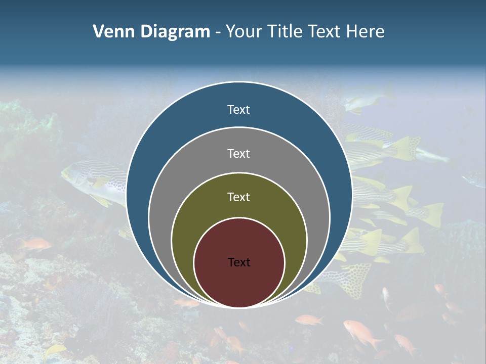 A Group Of Yellow And Black Fish On A Coral Reef PowerPoint Template