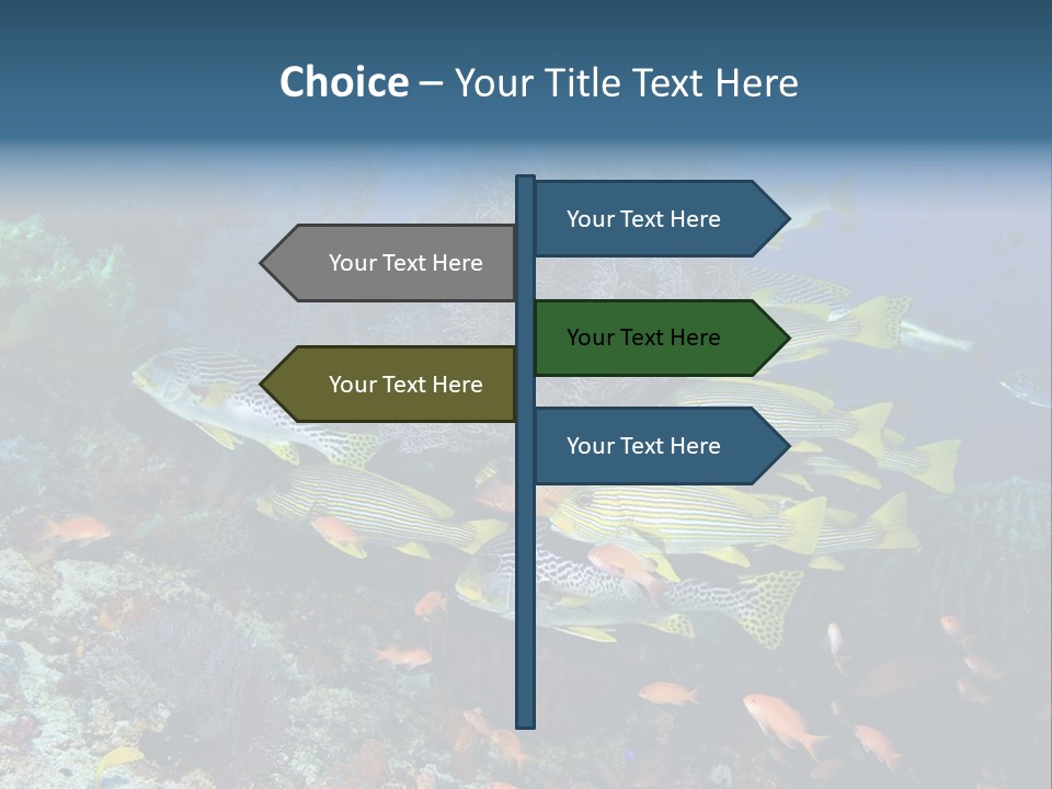 A Group Of Yellow And Black Fish On A Coral Reef PowerPoint Template