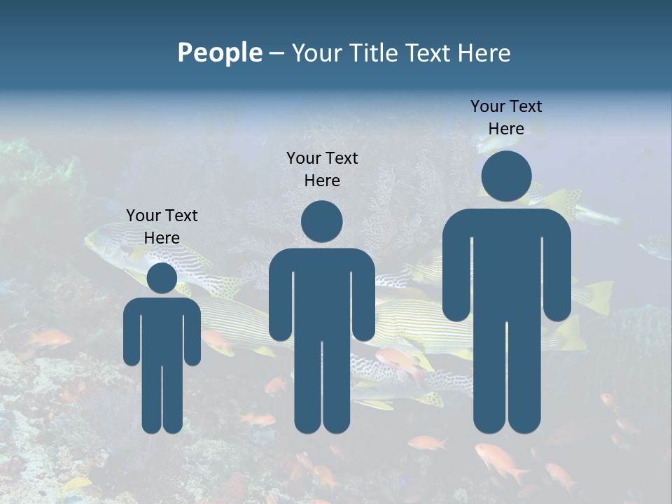 A Group Of Yellow And Black Fish On A Coral Reef PowerPoint Template