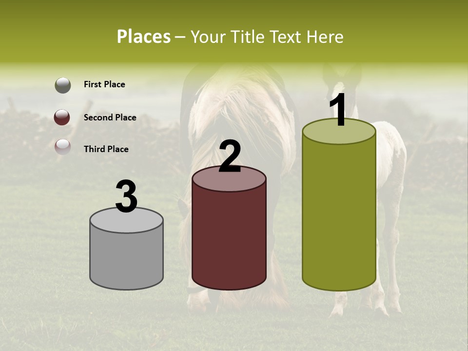Horse And Foal PowerPoint Template