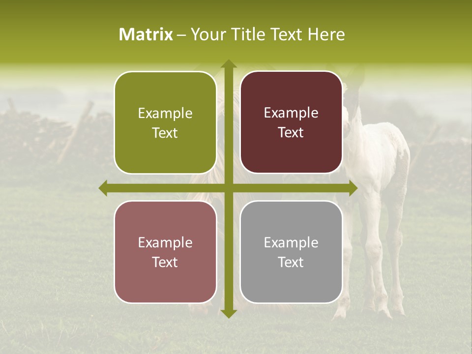 Horse And Foal PowerPoint Template