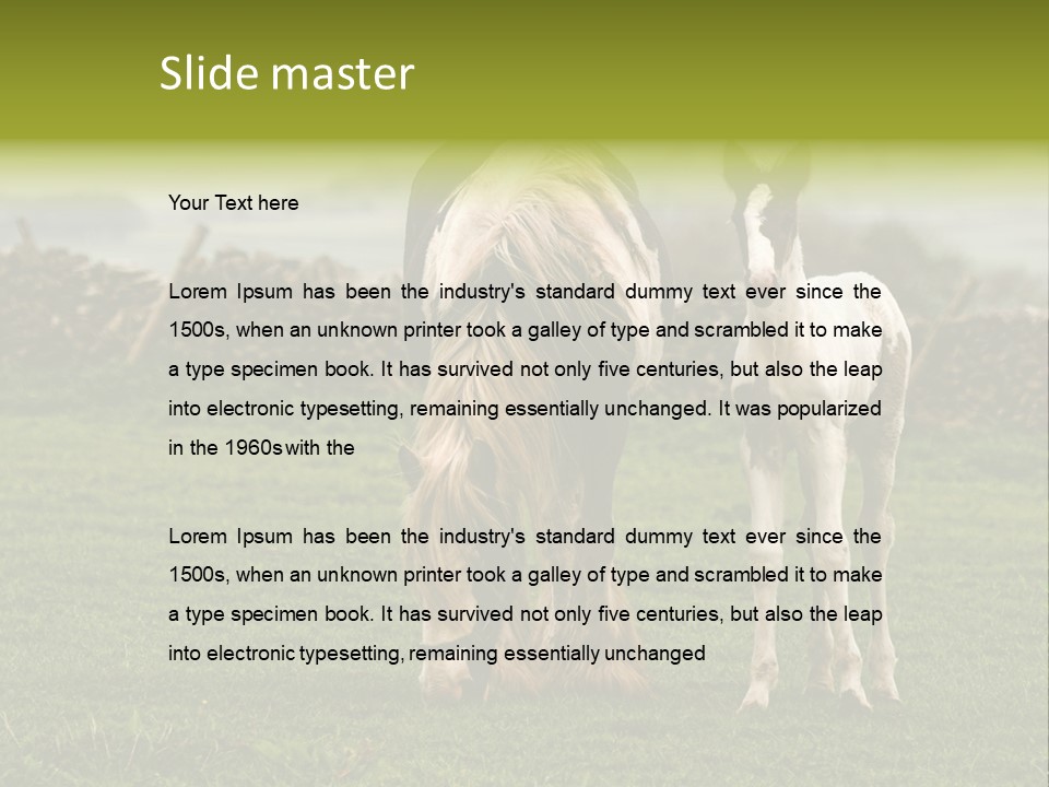 Horse And Foal PowerPoint Template