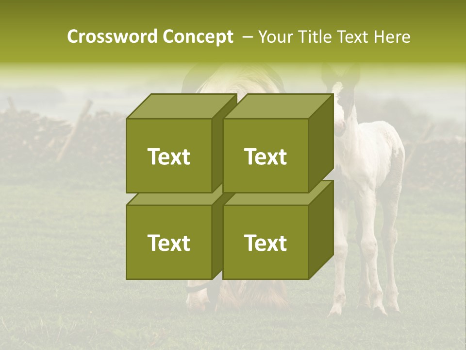 Horse And Foal PowerPoint Template