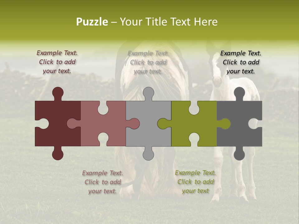 Horse And Foal PowerPoint Template