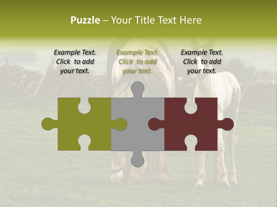 Horse And Foal PowerPoint Template