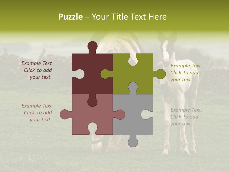 Horse And Foal PowerPoint Template